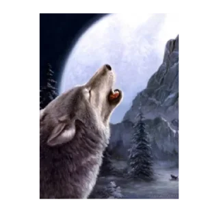 🐺 emoji ебаные волки Telegram sticker 8 of 11
