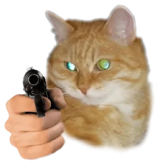 🔫 emoji Лапки вверх! • @TgStickery Telegram sticker 6 of 11