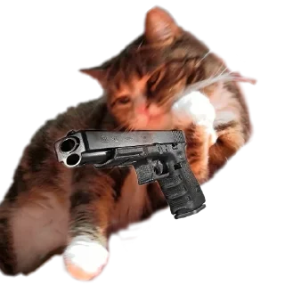 🔫 emoji Лапки вверх! • @TgStickery Telegram sticker 11 of 11