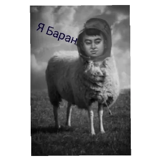 🐑 emoji Зуйчик Telegram sticker 23 of 30