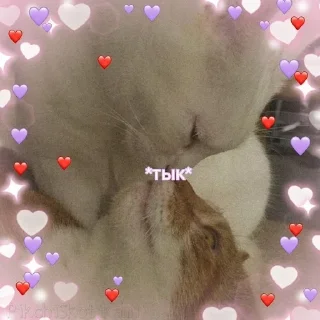 🌟 emoji Взрослый мой🙄🖕💗 Telegram sticker 4 of 31