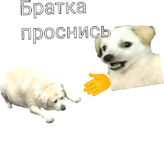 Sticker from Мемасики