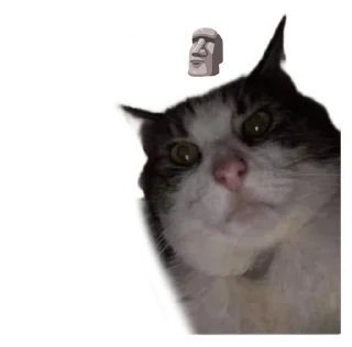 🌟 emoji оладий Telegram sticker 20 of 29