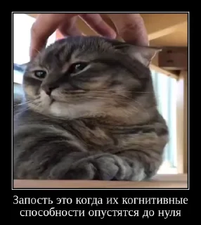 🧠 emoji Комарки pt3 @not_a_dude Telegram sticker 7 of 28