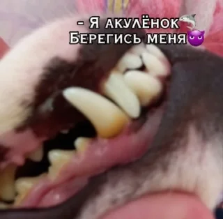 😈 emoji Шерри топ Telegram sticker 12 of 33