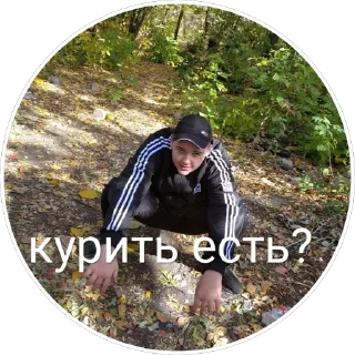 😽 emoji Новая жизнь Telegram sticker 14 of 25