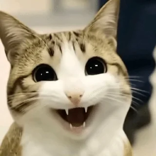 ❤️ emoji рыбывнепонятках Telegram sticker 18 of 26