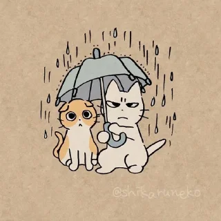 Sticker from Cute cats ✰