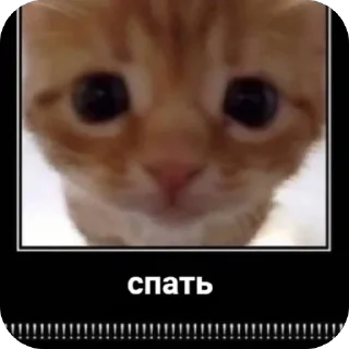 🫥 emoji Китики Telegram sticker 19 of 50