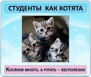 😺 emoji Дизайнкор Telegram sticker 4 of 51