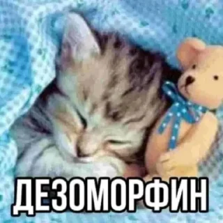 Sticker from я еблан