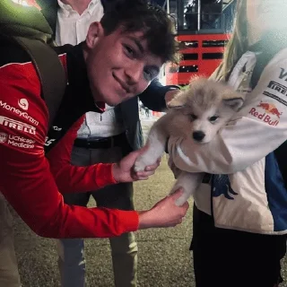 🌟 emoji Oliver Bearman :: @doroshkayyf1 Telegram sticker 13 of 87