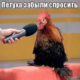 🐓 emoji Puke Telegram sticker 14 of 37
