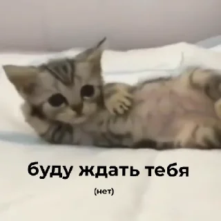👼 emoji Чебурек Telegram sticker 13 of 20