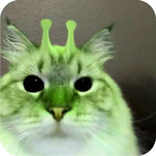 🐱 emoji Ein Außerirdischer im Geiste Telegram sticker 12 of 55