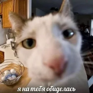 🧐 emoji vsu4ay Telegram sticker 23 of 115