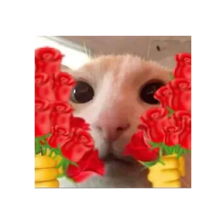 💐 emoji gatos Telegram sticker 7 of 51