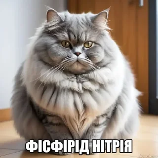 🌟 emoji Пiпiдастр Telegram sticker 22 of 74