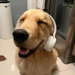 🎧 emoji Golden Retriever⚜️ Telegram sticker 10 of 30