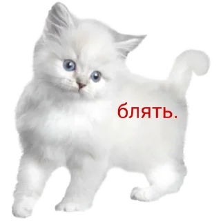 😿 emoji ⲙ᧐rᥱ ➝ @benti_stickers Telegram sticker 24 of 25