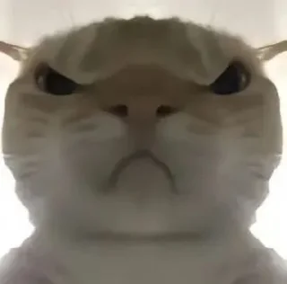 😡 emoji Кто прочел тот поляк Telegram sticker 7 of 38