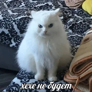 😡 emoji стики от владочки Telegram sticker 18 of 120