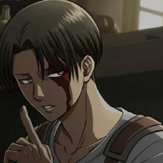🤫 emoji Ханджи и Леви Telegram sticker 5 of 21