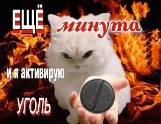 🤩 emoji Стикеры jyngarika @TgEmodziBot Telegram sticker 7 of 95