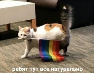 Sticker from this is russia