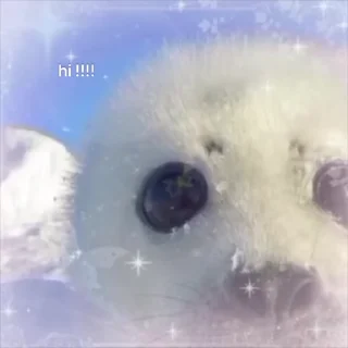 🥺 emoji ryo ! :: @cangcher33 Telegram sticker 6 of 23