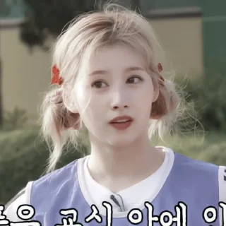 🍥 emoji 🫐Sana:: @moonlightflowers Telegram sticker 24 of 35