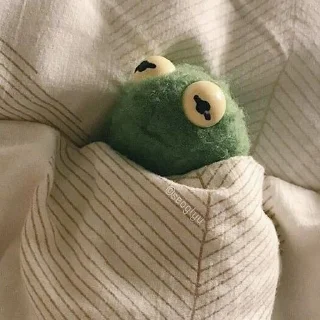 Sticker from froggy
