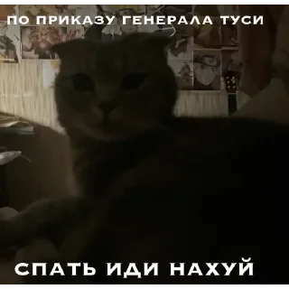 🌚 emoji генерал туся Telegram sticker 3 of 64