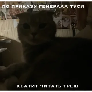 😐 emoji генерал туся Telegram sticker 1 of 64