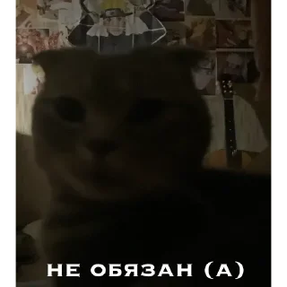 🙄 emoji генерал туся Telegram sticker 18 of 64