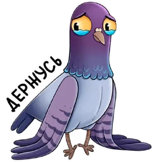 🥺 emoji Голубь Telegram sticker 11 of 26