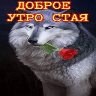 ☀️ emoji My life my rules Telegram sticker 5 of 120