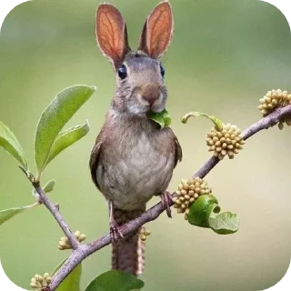 Sticker from Лучший пак @TgEmodziBot