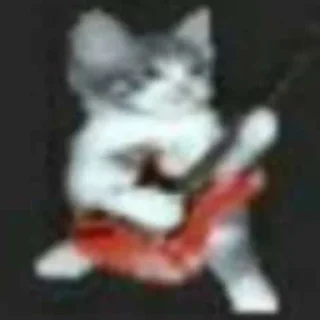😼 emoji Имбовые котики @stikirstipo Telegram sticker 1 of 55