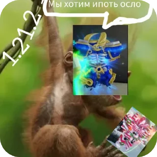🧸 emoji ВЕЛА НОВА 1.2 Telegram sticker 5 of 23