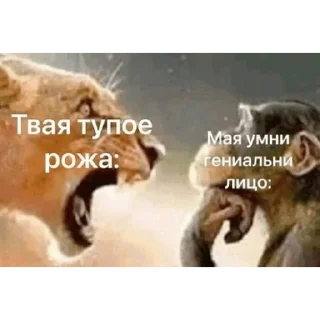 Sticker from Буквально я @XOXJIbI_nUDOPbl