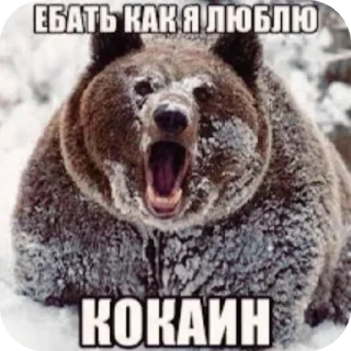 🐶 emoji Classic Block Memes Telegram sticker 18 of 120