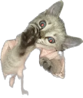 🌟 emoji киты 🐈‍⬛ Telegram sticker 15 of 28