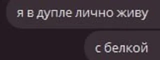 🫁 emoji Еу еу еу ваши мамы текут как м Telegram sticker 10 of 38
