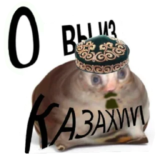 😹 emoji О вы из Рашки Telegram sticker 4 of 8