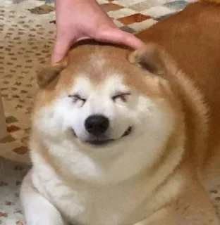 💓 emoji Милі Песики Telegram sticker 19 of 119