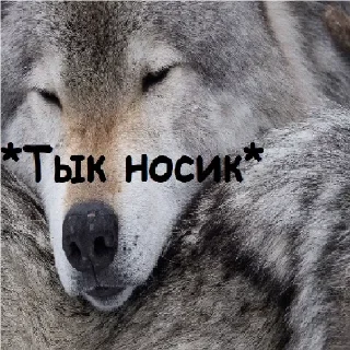 👍 emoji Подарок 18+ @pornostikery ⬅️🔞 Telegram sticker 13 of 15