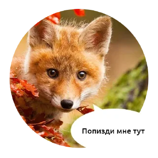 😄 emoji Grubye 18+ @pornostikery ⬅️🔞 Telegram sticker 13 of 13
