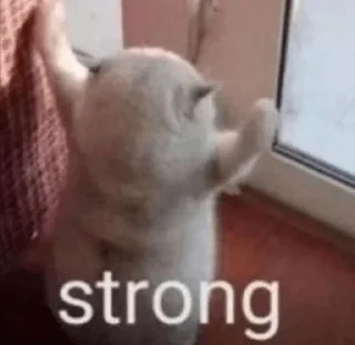 💪 emoji Закат вселенной Telegram sticker 18 of 51