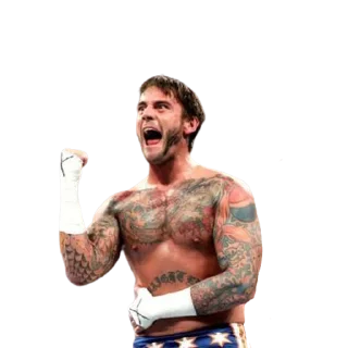 🥳 emoji CM Leo Telegram sticker 19 of 54